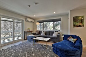 Télévision, cheminée, vidéothèque, chaîne hi-fi