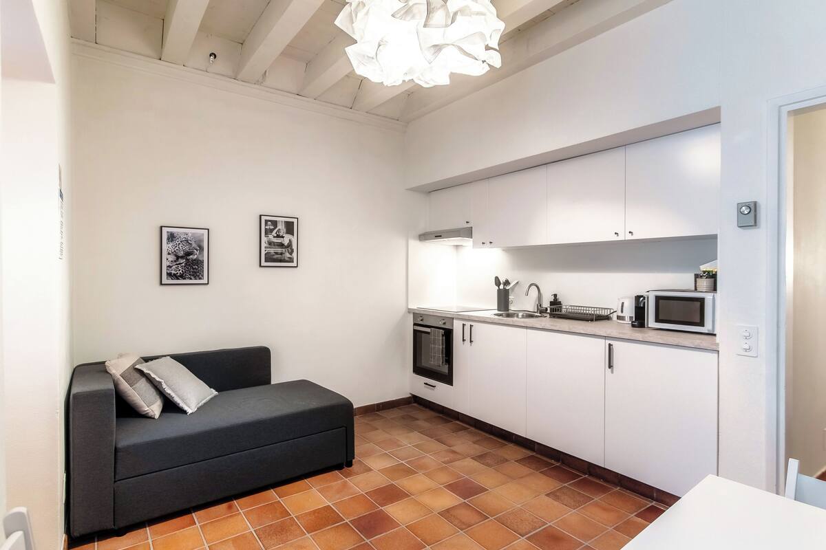 Classic Apartment | Private kitchen | Fridge, microwave, oven, stovetop