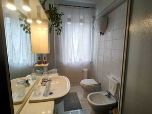 Shower, hair dryer, bidet, towels