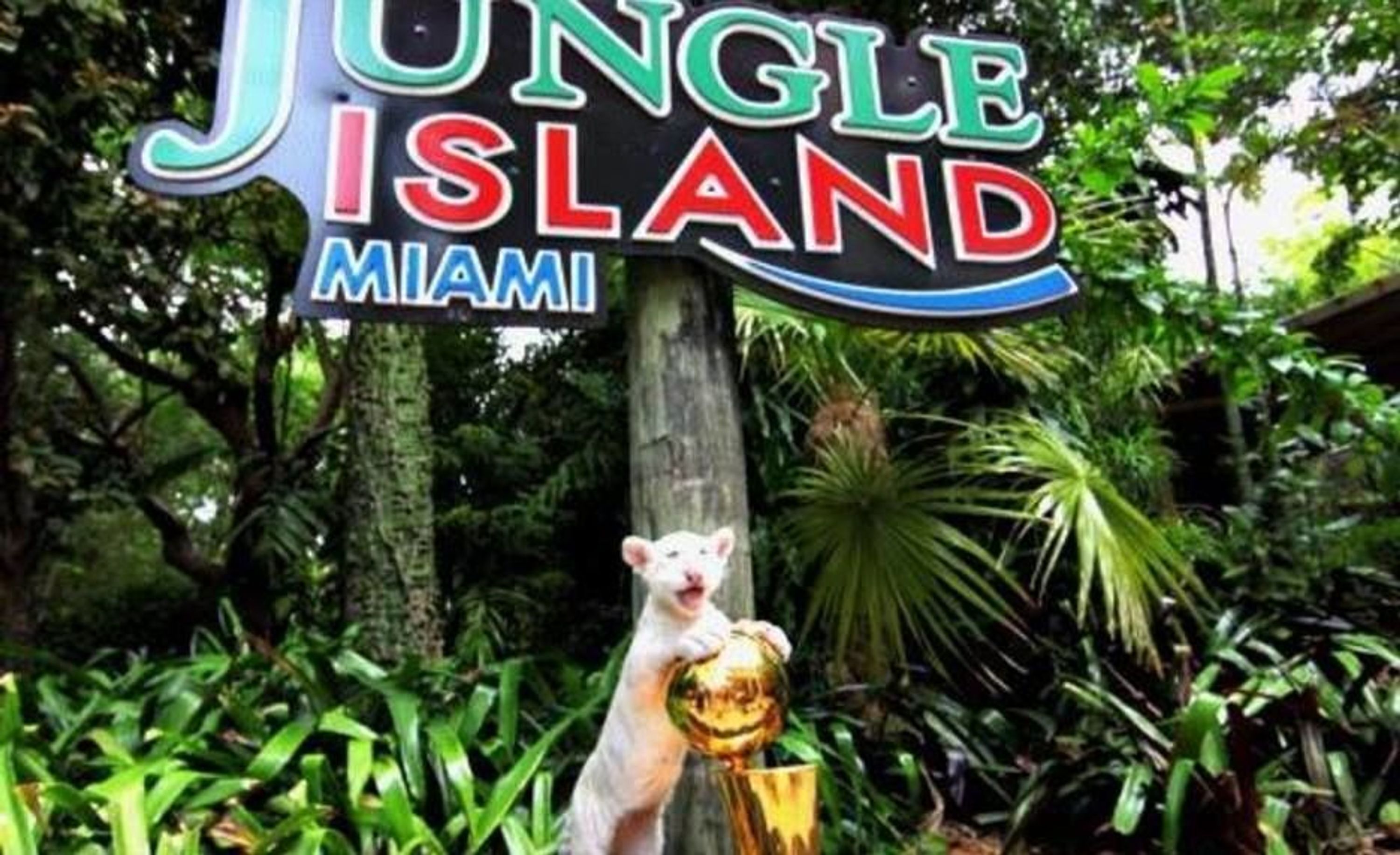 Villa | 5 dormitorios