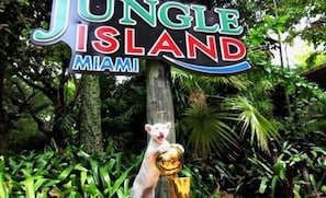 Villa | 5 bedrooms - NEW Luxury 5BR Villa Private Pool BBQ Game Room (Miami Gardens)