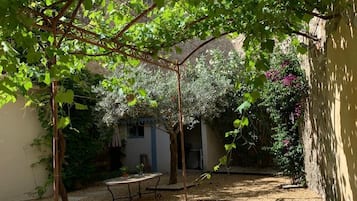 Terras