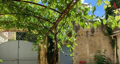 Provencal town house in the heart of traditional and cultural Provence