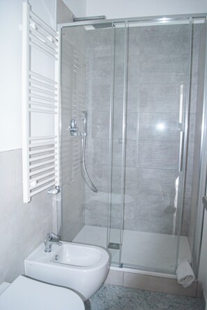 Dusche, Haartrockner, Bidet, Handtücher
