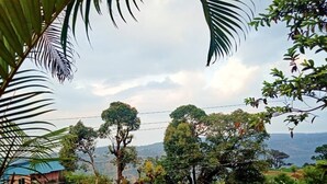 A view of a green landscape with trees and a building in the background. - Heaven Hills Resort (Mahabaleshwar)