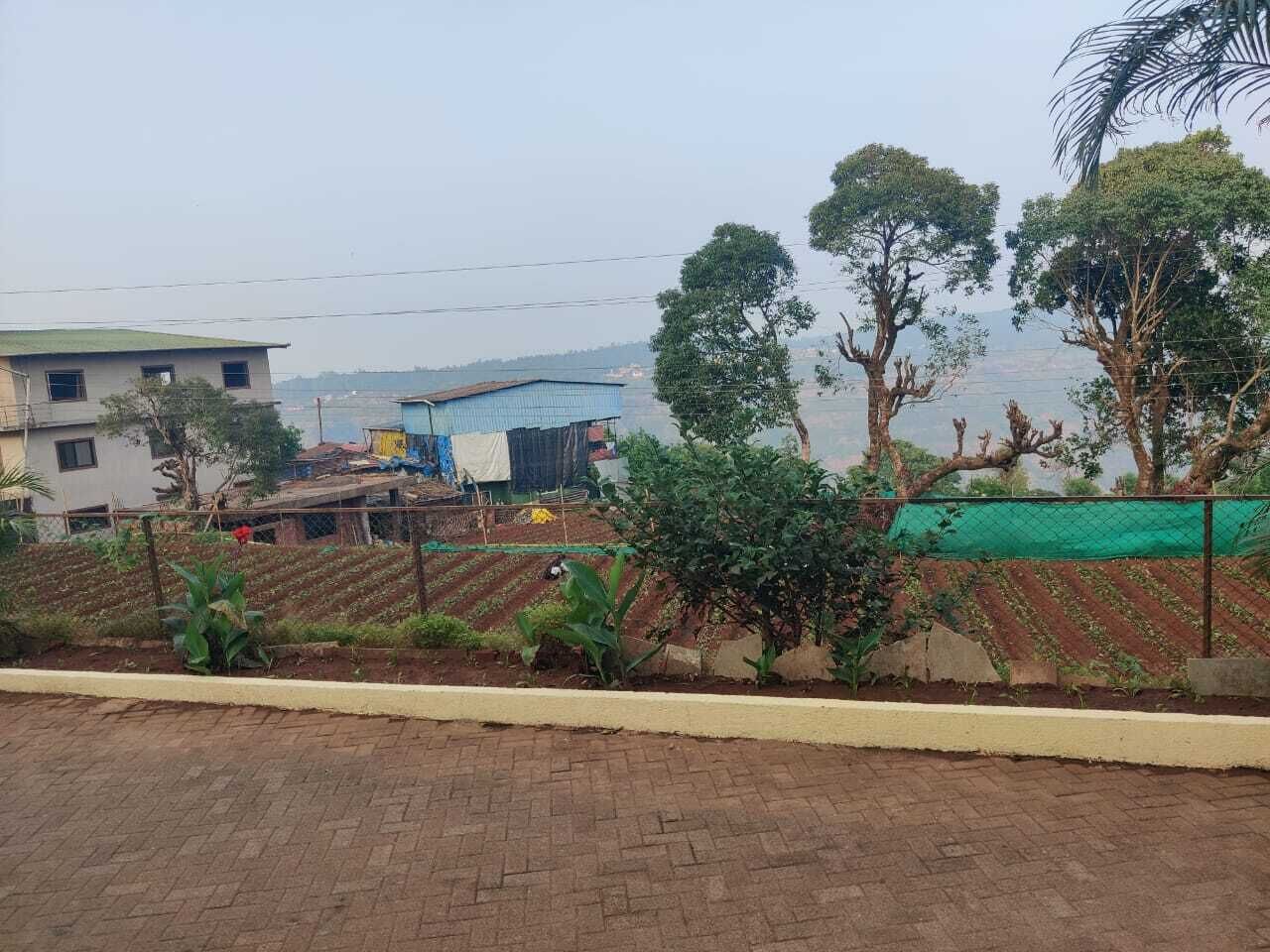 Un barrio residencial con un sendero pavimentado, un jardín cercado con hileras de plantas y un edificio con techo azul al fondo.