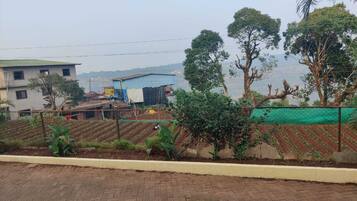 A residential area with a paved walkway, a fenced garden with rows of plants, and a building with a blue roof in the background.