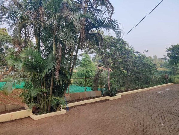 A paved area with a palm tree and a green fence in the background. - Heaven Hills Resort (Mahabaleshwar)