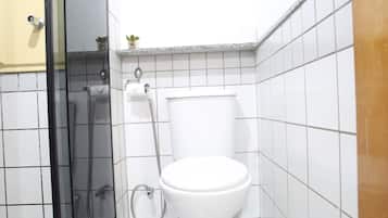 Douche, serviettes fournies, savon, papier toilette