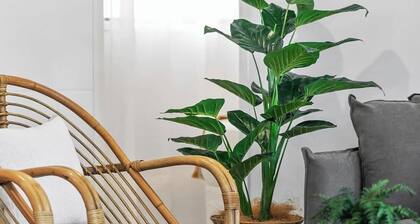 Coastal 3BR Beachside Haven, Pet-Friendly!