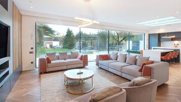 TV, fireplace, offices