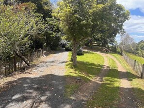 Un camino rural con un sendero de tierra, árboles y una cerca.