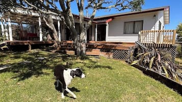Uma casa com varanda, uma árvore e um cão no quintal.