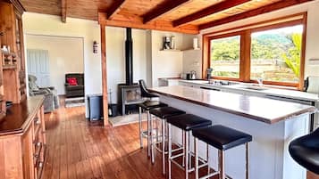 KĂŒhlschrank, Mikrowelle, Ofen, Herdplatte