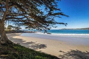 Ein Strand mit einer großen Baumgruppe, blauem Himmel und ruhiger See.