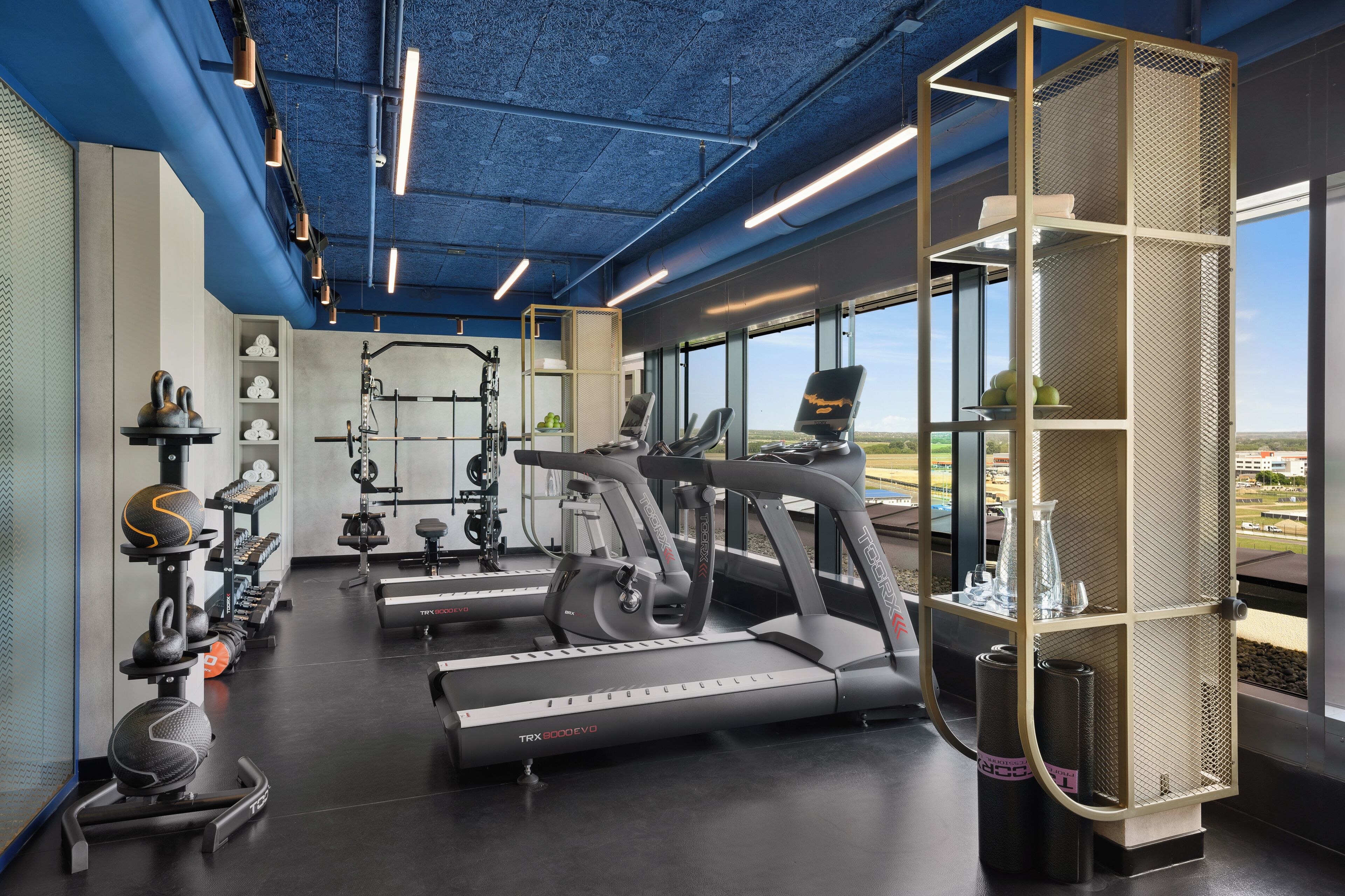 Un gimnasio moderno con cintas de correr, máquinas de pesas y un amplio ventanal con vistas al exterior.