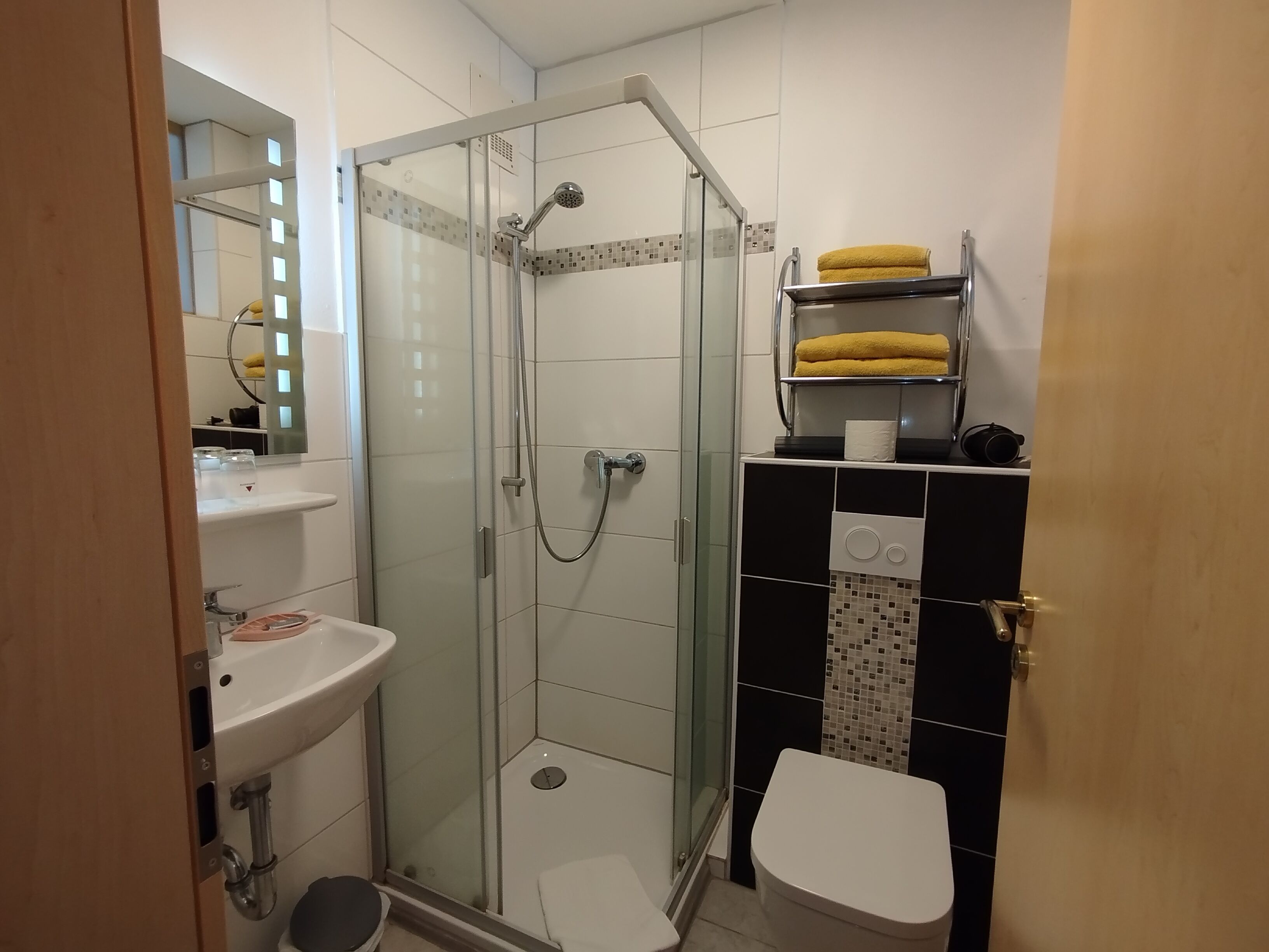Un bagno con doccia vetrata, un lavandino bianco e un water.