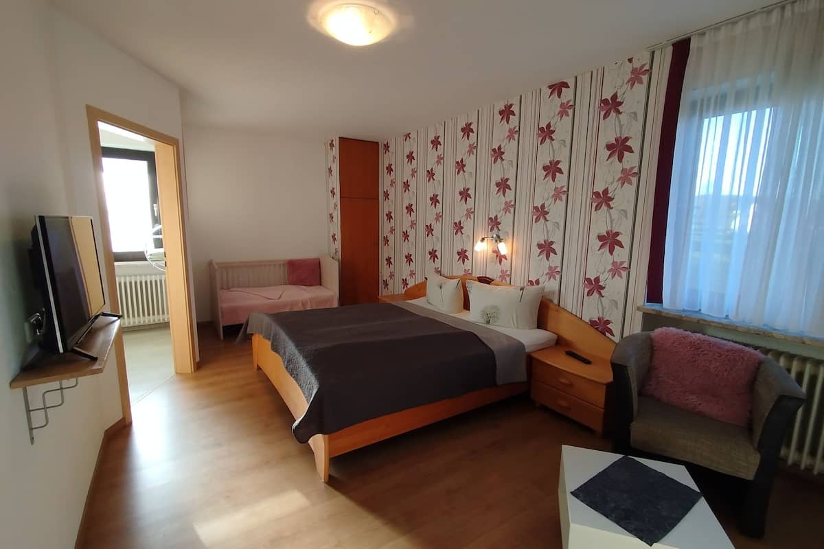 Ein Schlafzimmer mit einem großen Bett, einem kleinen Sofa, einem Fernseher und einem Fenster mit Vorhängen.