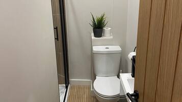 Shower, eco-friendly toiletries, hair dryer, towels