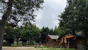 A rustic cabin with a wooden exterior, surrounded by dense trees and a grassy area. - Cocooning riverside Chalet on a small campsite in the Heart of Auvergne (Saint-Bonnet-de-Condat)
