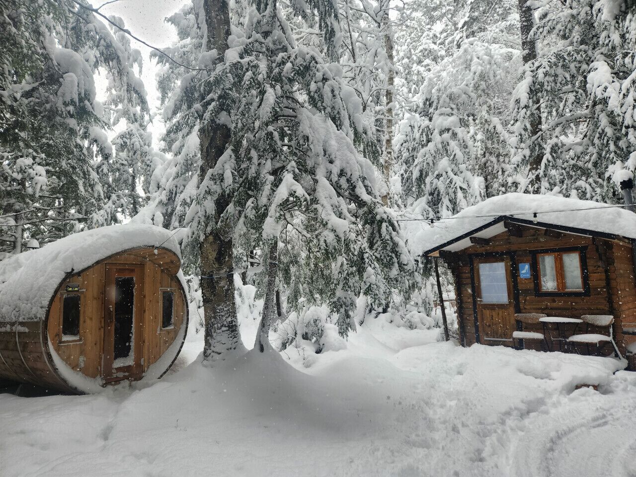A wooden cabin surrounded by snow-covered trees.