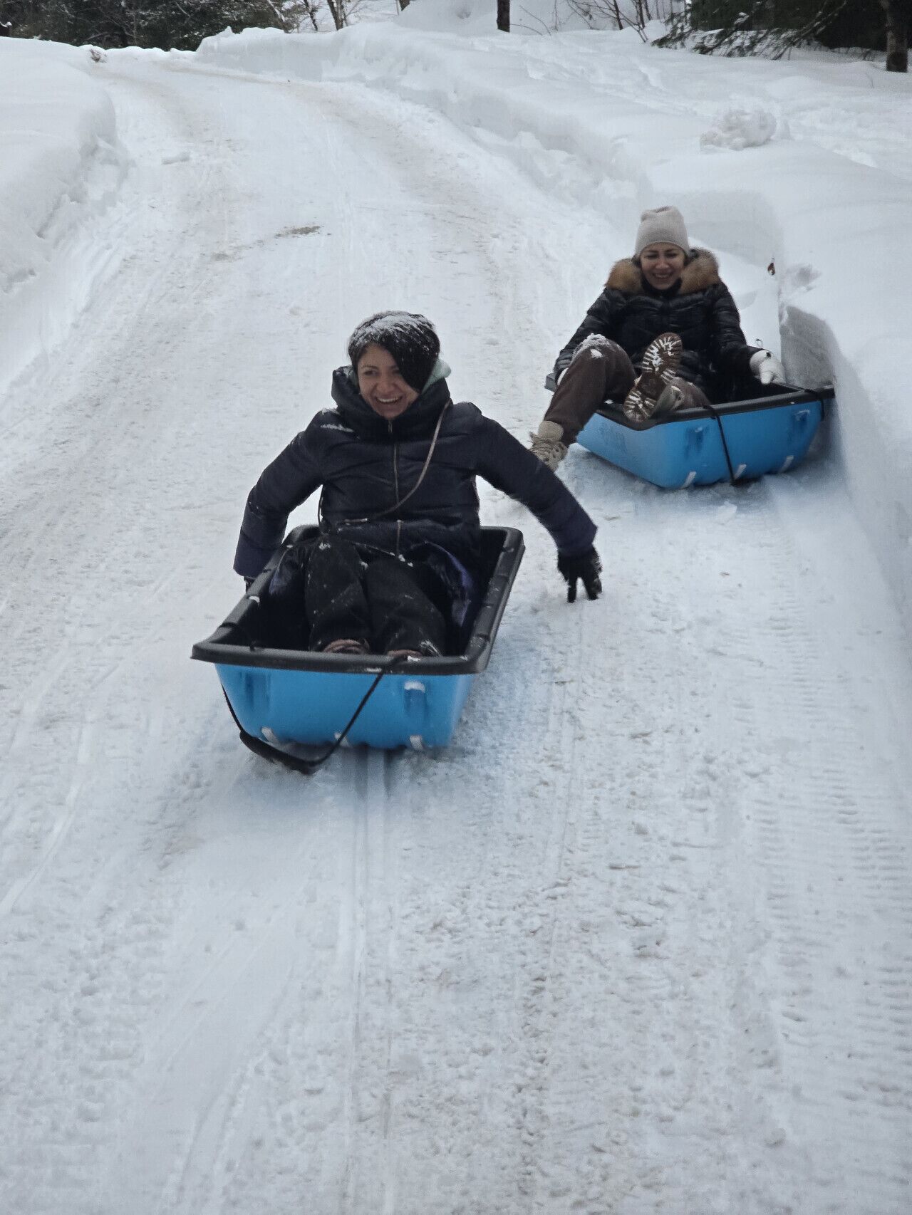 Snø- og skisport