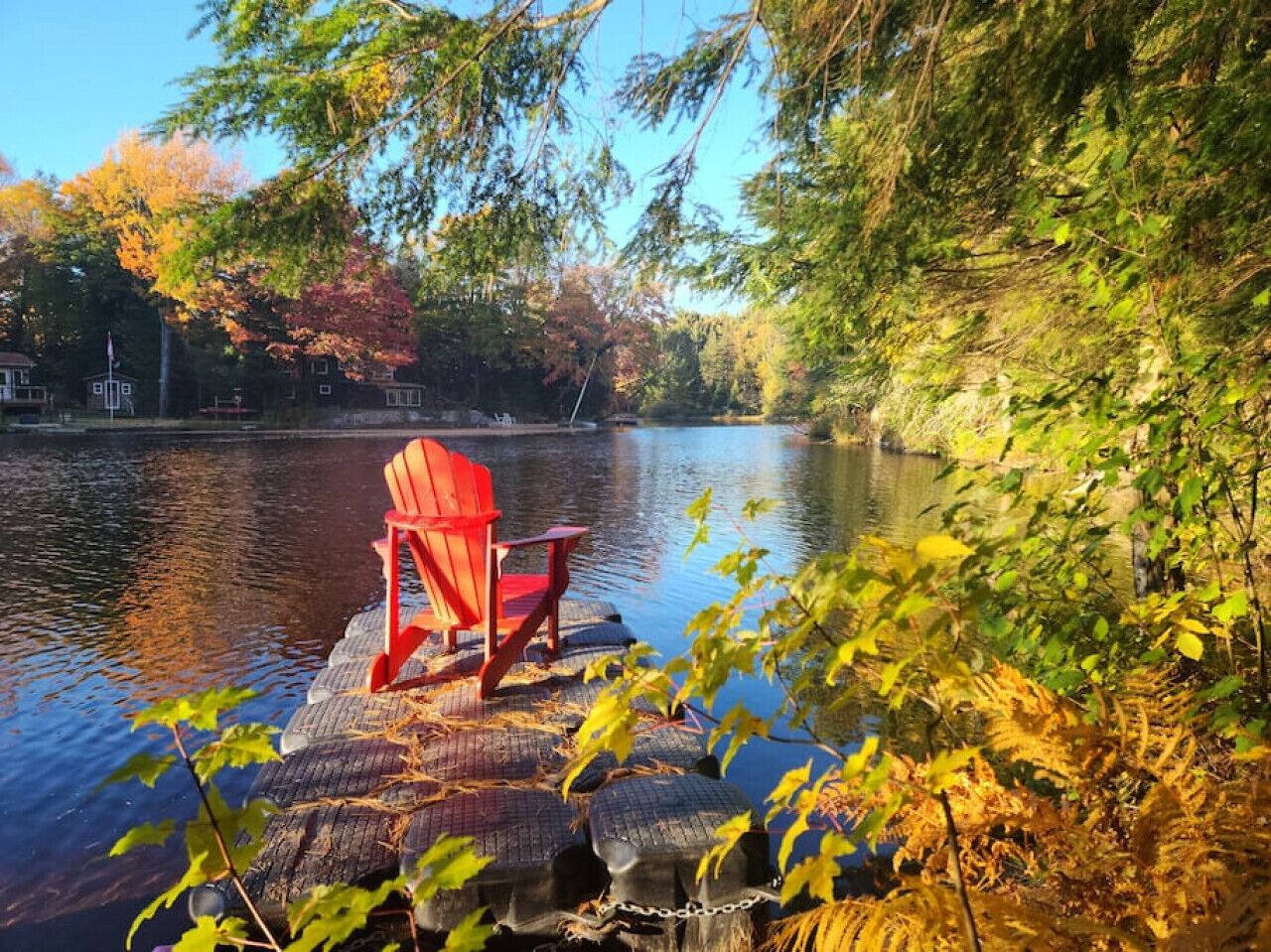 Terrein van de accommodatie