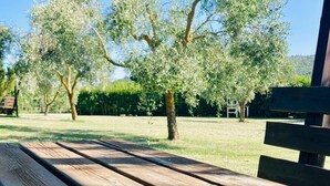 Una panchina di legno in un parco con ulivi e un cielo azzurro limpido.