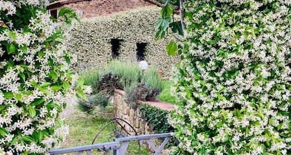 Agriturismo Piombaia