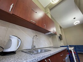 Family Apartment, Non Smoking, Kitchenette | Private kitchen | Mini-fridge, electric kettle, highchair