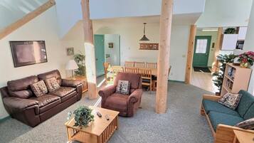 TV, fireplace, DVD player, books