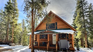 A log cabin with a porch, surrounded by tall trees and snow on the ground.