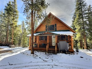 Exterior - Mountain Log Home-Among Lodgepole Pines (Leadville)
