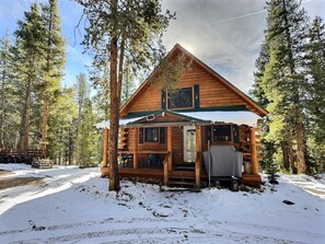 A log cabin with a porch, surrounded by tall trees and snow on the ground. - Leadville Log Cabin on 6 Acres | 3BR Sleeps 6 | Mtn Views & Fireplace (Leadville)