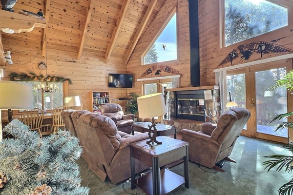 TV, fireplace, books, offices