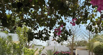 Villa Maddy sleeps 18 in a private residence. 5 suites in independent bungalows.