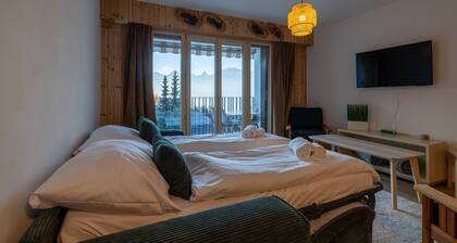 Petit Nid au Chaedoz - Nendaz, 4 Vallées