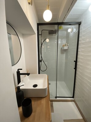 Sèche-cheveux, serviettes fournies, savon, papier toilette