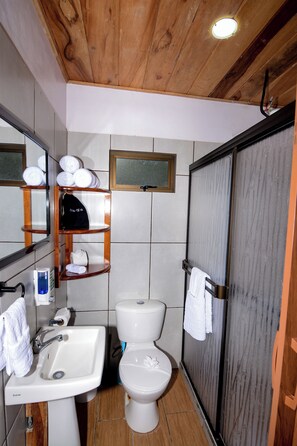 Casa rural Comfort, vistes a la muntanya | Bany | Dutxa, tovalloles, sabó i paper higiènic 