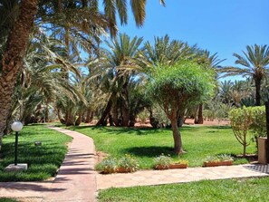Property grounds - Palmeraie, large apartment with terrace (Marrakech)