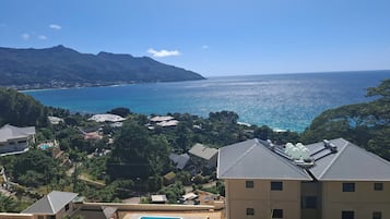外觀