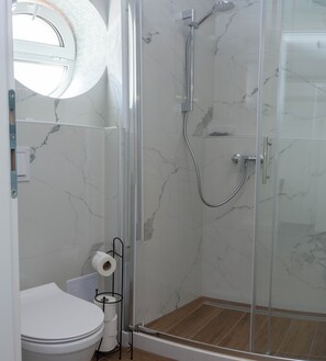 Shower, towels, toilet paper