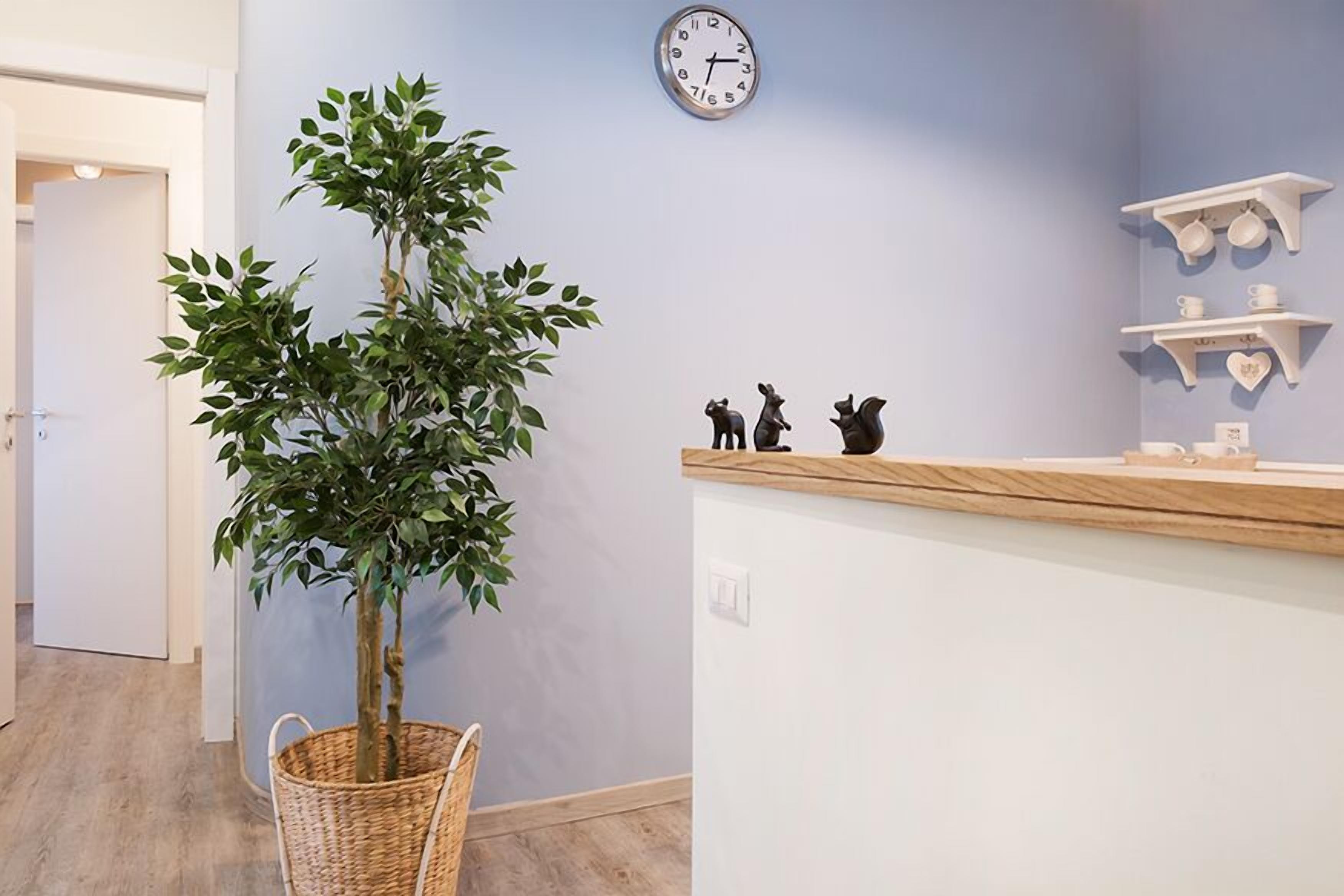 A reception area with a potted plant, a clock, and shelves with decorative items.