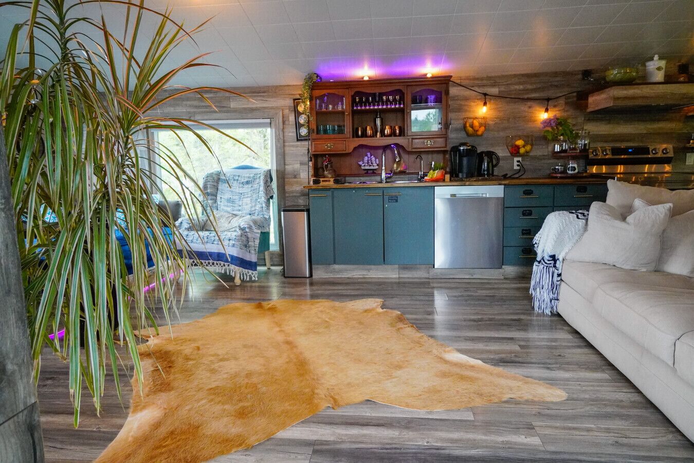 Smart TV, fireplace, video games, DVD player