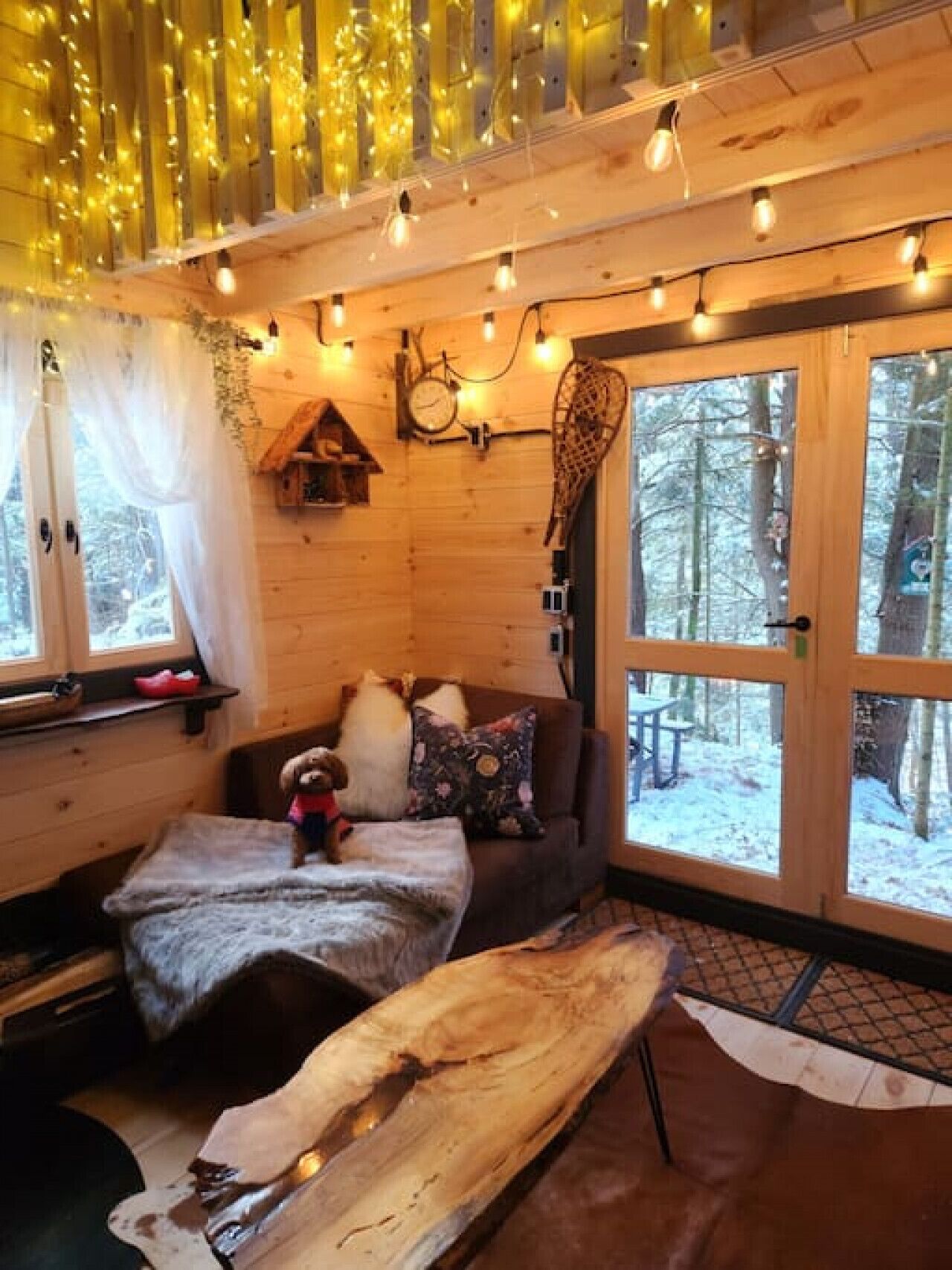 Smart TV, fireplace, video games, books