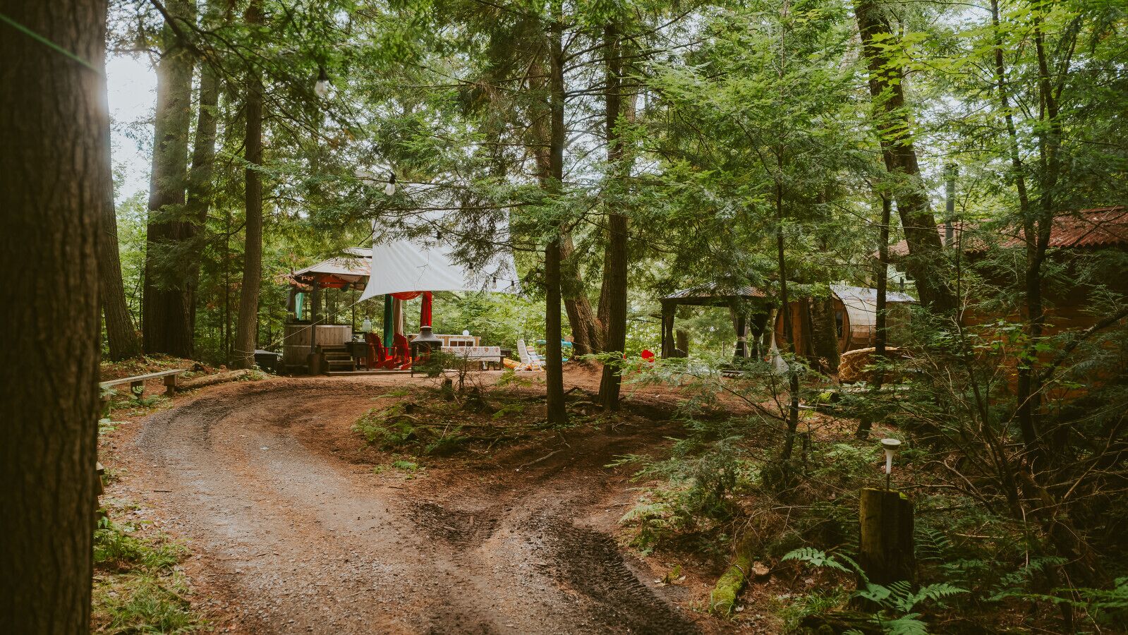 Un terrain de camping boisé, avec un sentier de terre menant à une construction au toit rouge, entourée de grands arbres et de verdure.
