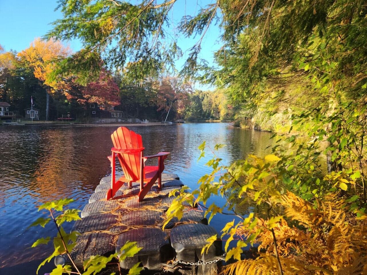 Terrein van de accommodatie