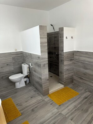Shower, hair dryer, towels, toilet paper