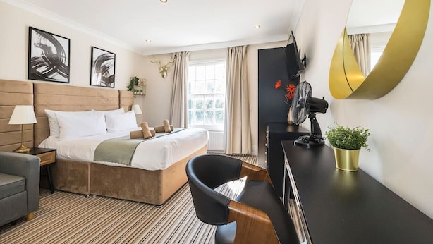 Quarto de hotel com cama, escrivaninha, cadeira, televisão, espelho e um vaso de planta.