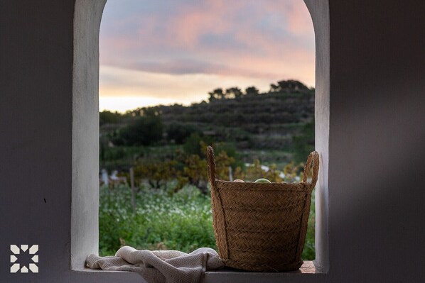 A view through a window with a woven basket and a cloth on a ledge.